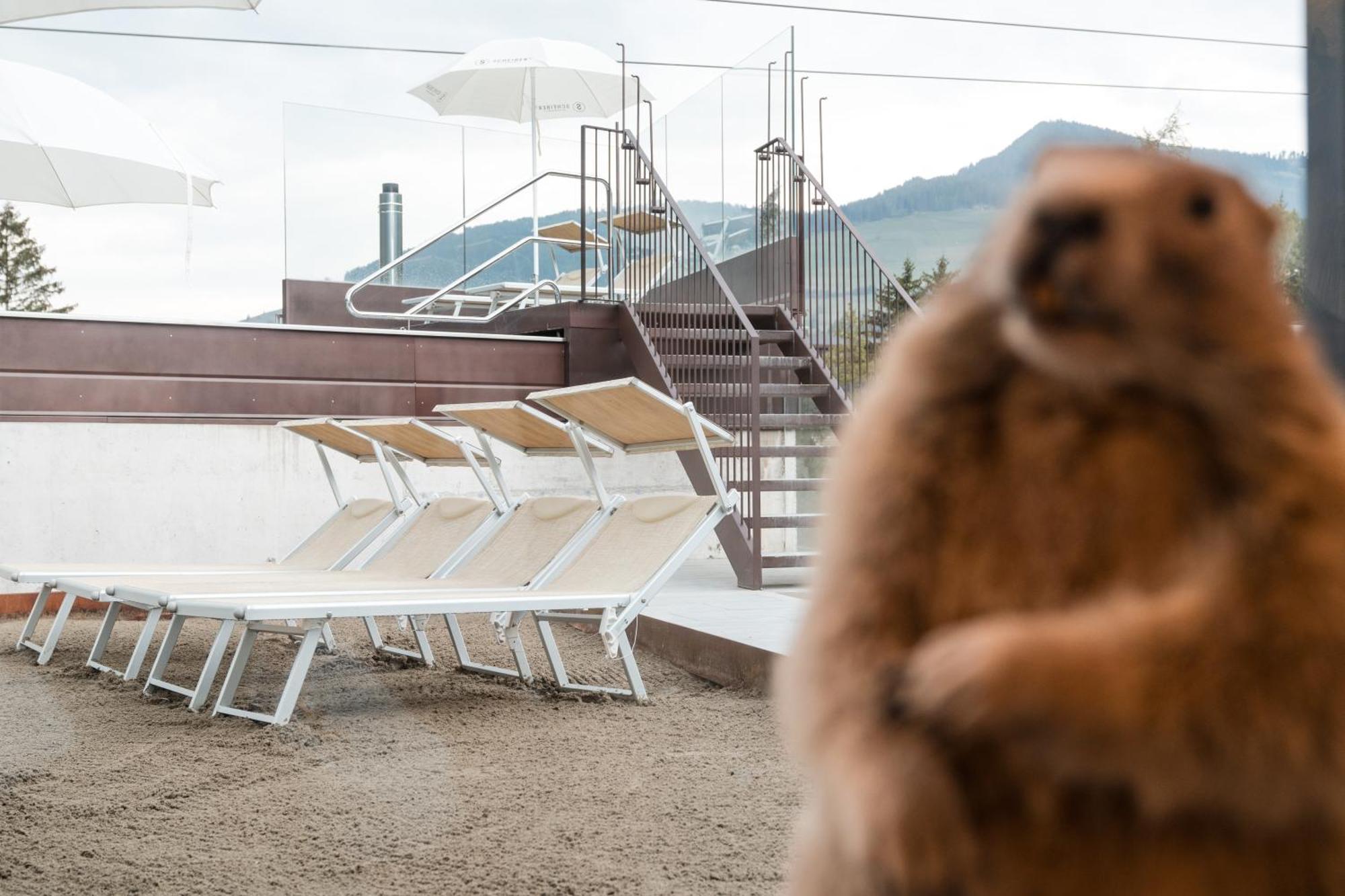 Al Plan, A Mountain Moving Hotel San Vigilio Di Marebbe Exterior foto